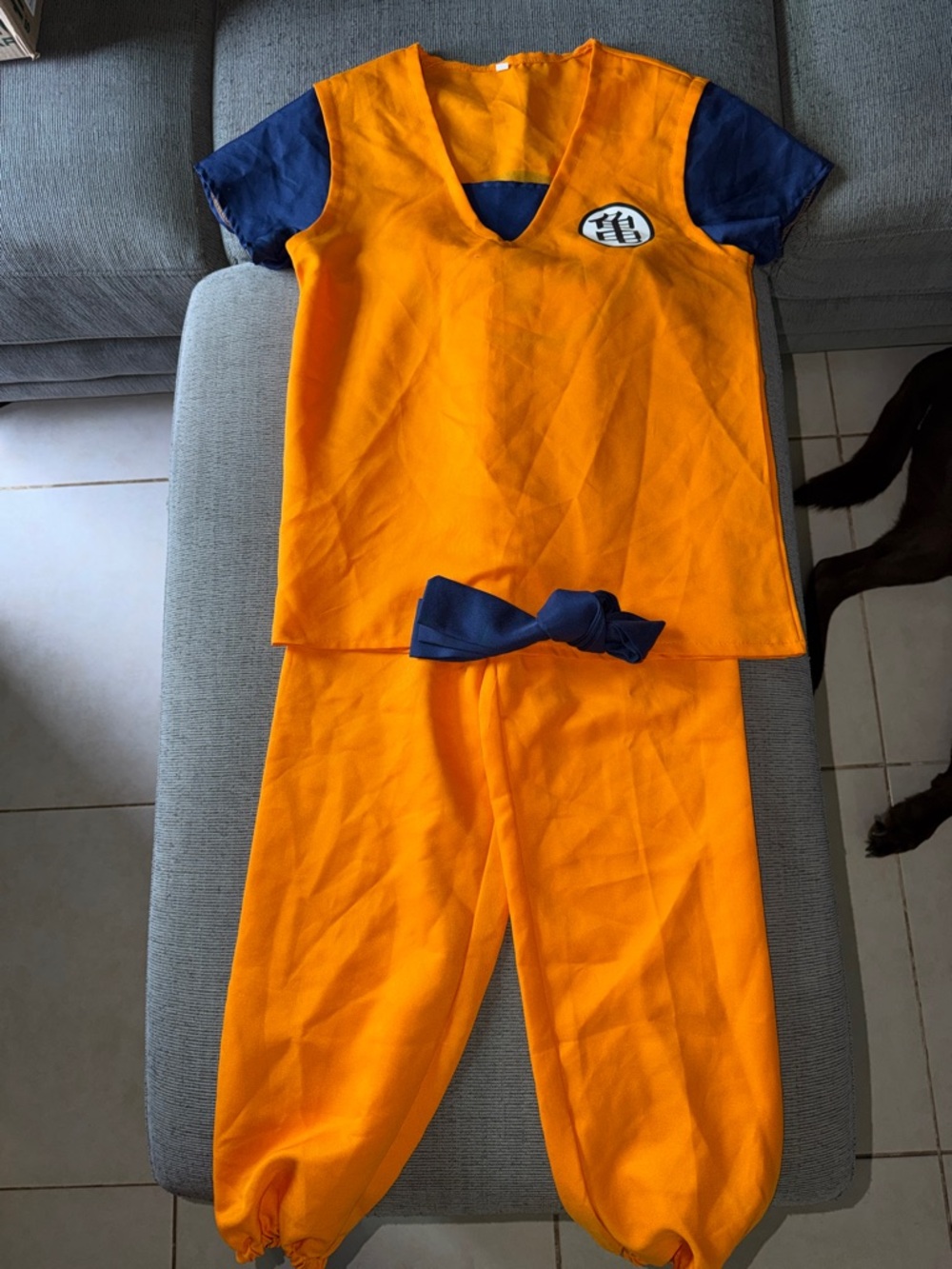 DBZ Costume for Women Goku